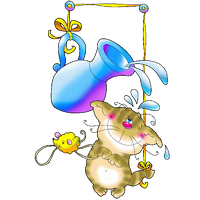 a kitty having a shower